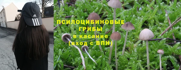 амф Белокуриха