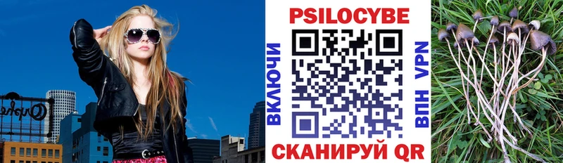 Галлюциногенные грибы GOLDEN TEACHER  Кораблино 